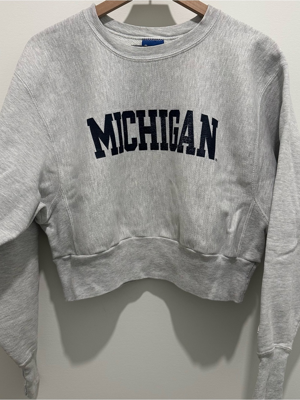 Champion Michigan Cropped Crewneck